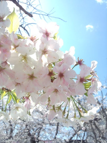 IMG_20140327_114450