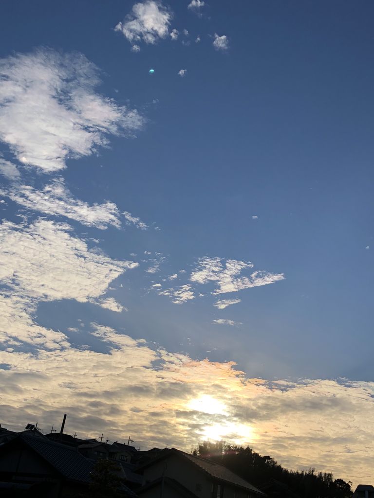 91055970-620E-497A-8FFE-8E703C659F28