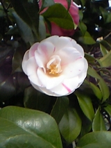 8fb5799e.jpg