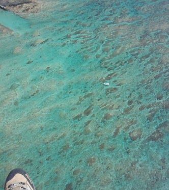 IMG_20130316_143401