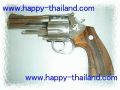 gun