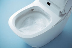 dev_toilet_p02