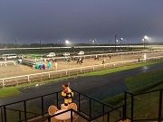 13880415_1028573473929304_9195299214048649465_n