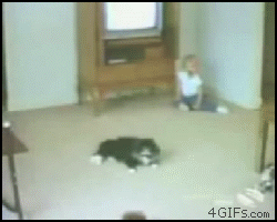 今日保存した最高の画像を転載するスレ 318YouTube動画>5本 ->画像>1153枚 
