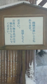 2569305f.jpg