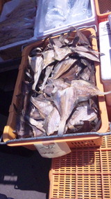 29e121e7.jpg