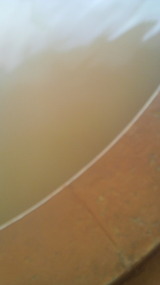 332a8d29.jpg