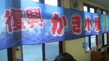 39524504.jpg