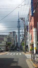 3be425c0.jpg