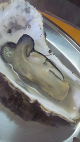 5320b6f0.jpg