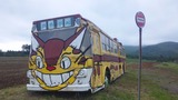 731764f8.jpg
