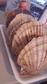 c70e94e9.jpg