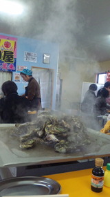 cdc04e2b.jpg