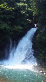 d7b74269.jpg