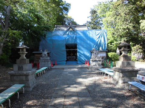 ⑤氷川神社4