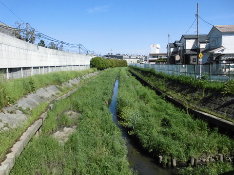 ④鎌倉橋3