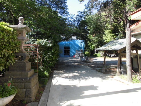 ⑤氷川神社3