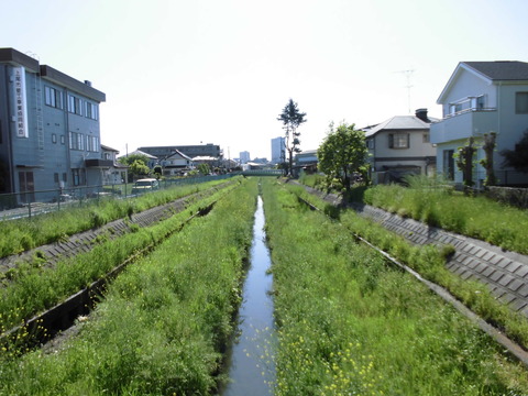 ④鎌倉橋2