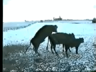 ��20180314��tumblr_p053avUEH21weo0two1_400