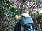 あ!なんだこれは!