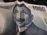たった1000円!