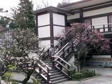 梅上山光明寺の梅