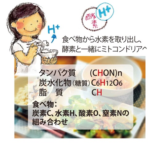 01_食べ物から何を