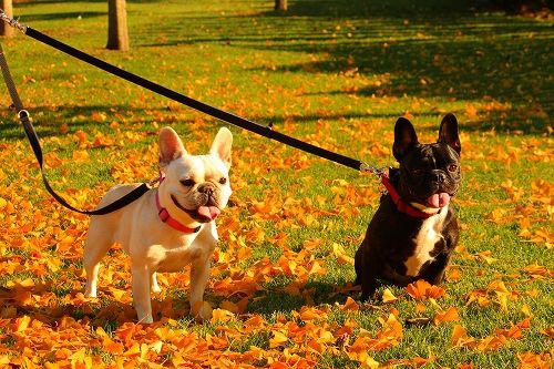 s-IMG_5932