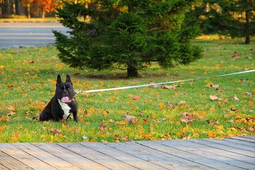 s-IMG_6082