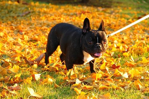 s-IMG_6091