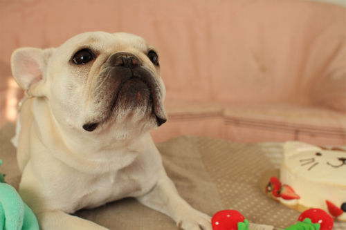 sa-IMG_5661