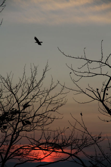 sa-IMG_5789