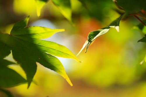 s-IMG_6012