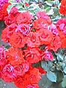 0250e5c0.jpg