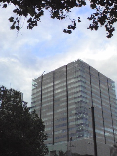 09973902.jpg
