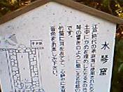 237cd913.jpg