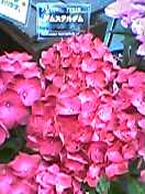 2f6627e0.jpg