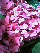 72c2f49f.jpg