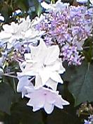 913449f3.jpg