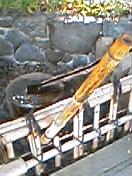 9364193c.jpg