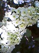 b91af833.jpg