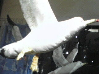 cbf813fa.jpg