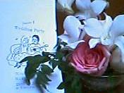 d29eee0a.jpg