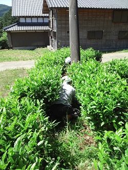 20170604_tya