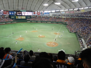 DSCN0217