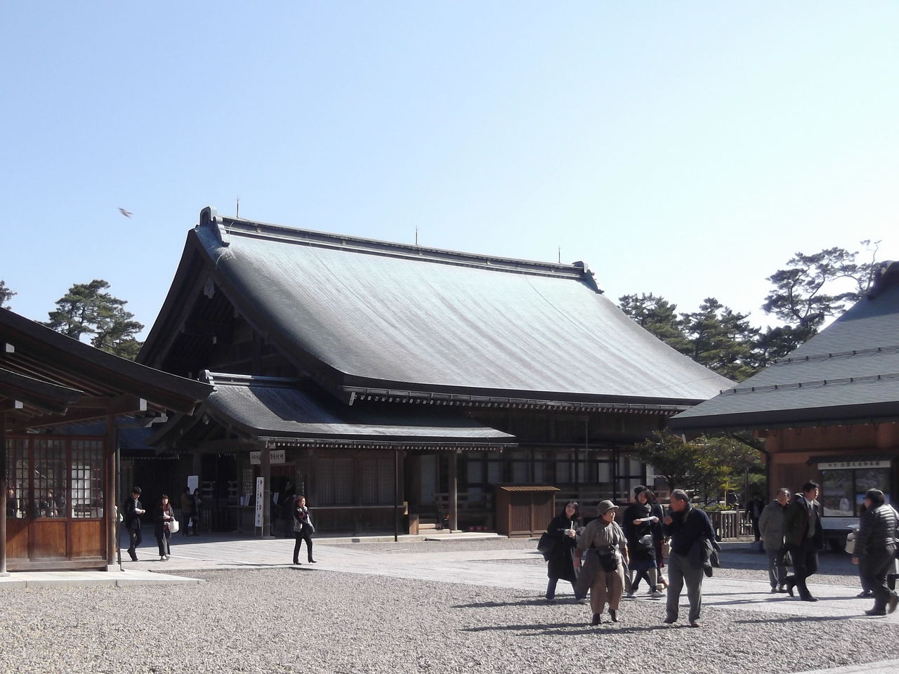 DSCF8467