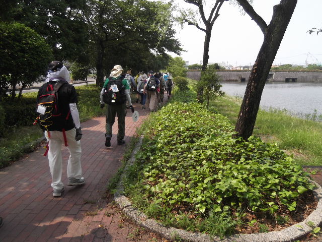 DSCF8882
