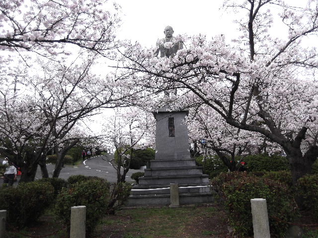DSCF7491
