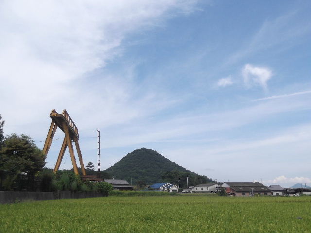 DSCF8954