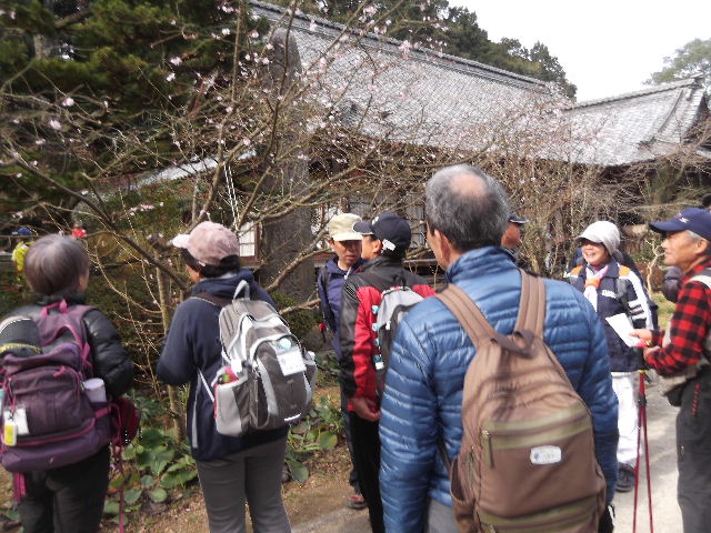 三角05DSCF8398